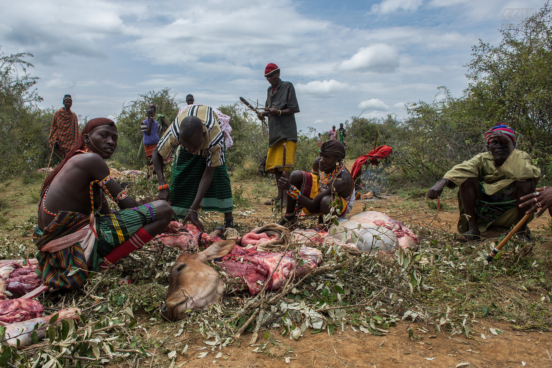 Kisima - Samburu lmuget - Slachten van dieren Een Samburu man neemt deel aan vijf lmuget ceremonies tijdens zijn krijgerperiode. De climax van elke lmuget is het moment waarop ze een koe of geit slachten voor het grote feest. Lmuget betekent 'de dood van veel vee op een plaats'. De stappen en details van alle rituelen zijn vrij ingewikkeld en veranderen ook een klein beetje vanwege de 'moderne' tijden. Stefan Cruysberghs